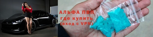 прущие грибы Беломорск