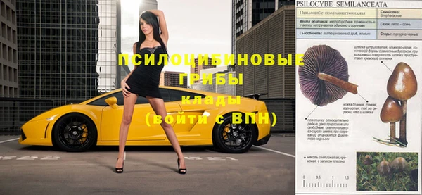 прущие грибы Беломорск
