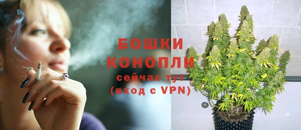 прущие грибы Беломорск