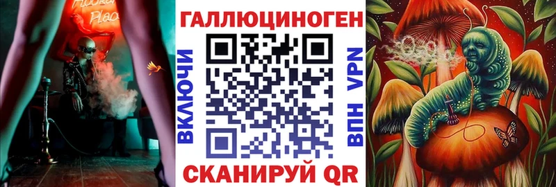 Купить Курчатов Галлюциногенные грибы Cubensis